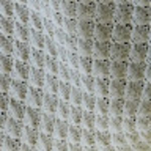 Meet your Posher, Kathleen